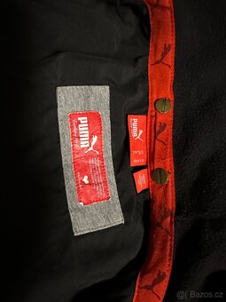 Puma bunda jarni - 7