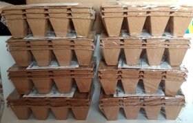 Rašelinové vložky na sadbu do minipařeniště - 7