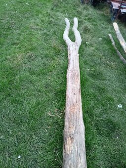 Prodám zvoničky - 7