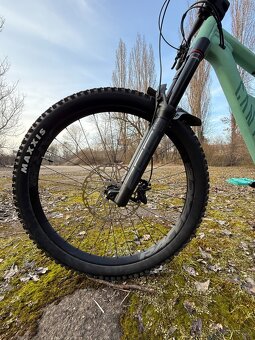 Canyon Torque Mullet AL 5 - 7