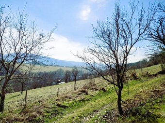 Stavební parcela vč. st. povolení, sad, louka 26 074 m2 - 7