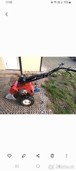 Fortschirtt- Tera vari - 7