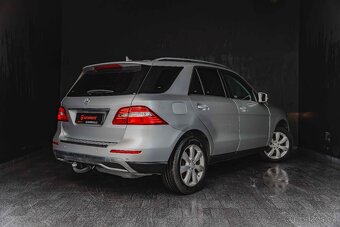MERCEDES BENZ ML-250CDi-4Matic-DPH-R19 - 7