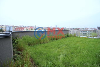 Prodej byt 5+kk, OV, 302 m2, Praha 10 - Vršovice, ul. Archan - 7