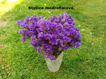 SUŠENÉ KVĚTINY - různé druhy pro tvoření. - 7