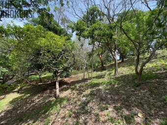 LOT 8 Bodden Bight Estate, Roatan - 7