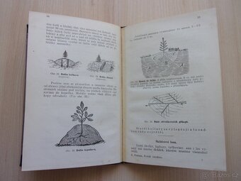 Konrád F. Postupa - ROLNÍK LESNÍKEM - r. 1912 - 7