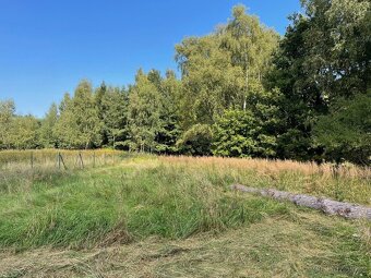 Prodej chalupy se stavebním pozemkem v Dolním Podluží - Kate - 7