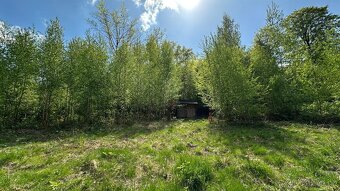 Prodej, lesní pozemek, 32.970 m2, Stolín, Náchod - 7