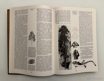 Kniha o pravěku - Zdeněk V. Špinar, ilustroval Zdeněk Burian - 7