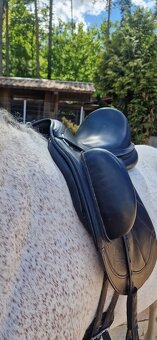 Drezurní sedlo Rhode x Thetis - 7