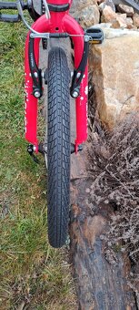 Superior Paint 20"- PĚKNÉ - 7