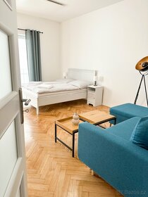 Ubytování v apartmánu pro až 4 osoby ve Znojmě - 7