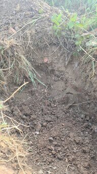 Hlína za odvoz – kamenitá / šotolina 🛻 - 7