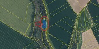 Prodej lesního pozemku k.ú. Boreč - 7