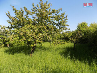 Prodej ovocného sadu, 912 m², Třebenice, ul. Třebenice - 7
