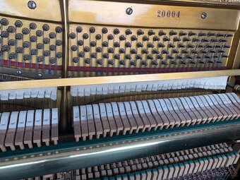 Piano Rosler - 7