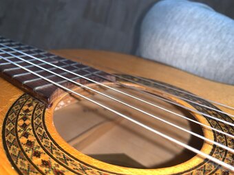kytara Schneider - 7