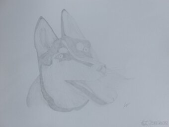 Obrázky obrazy kresby kreslení - 7