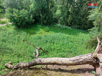 Prodej louky, 1003 m², Vysoká - 7