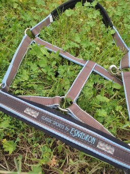 Ohlávky eskadron  a další - 7