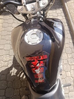 Fz6 fazer - 7