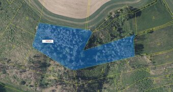 Prodej lesa v k.ú Střížov u Jihlavy 11 837 m2 - 7