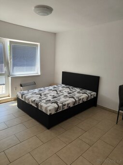 1+kk Velké Pavlovice 34m2 s terasou - 7
