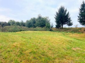 Prodej pozemku, 2 000 m² - Velká Bukovina - 7