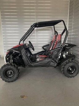 Buggy 208cc - 7