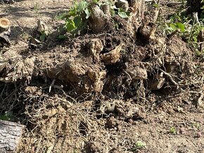 Zemni a výkopové práce - 7