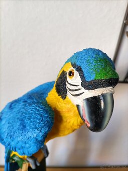 Papoušek, dekorace - 7