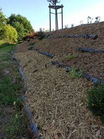 Mulčovací kůra, štěpky, frézované štěpky - 7