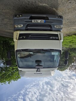 Daf lf 55/300 - 7