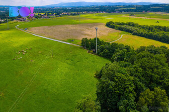 Prodej zemědělského pozemku 6 655 m², Zpupná Lhota, obec Cho - 7