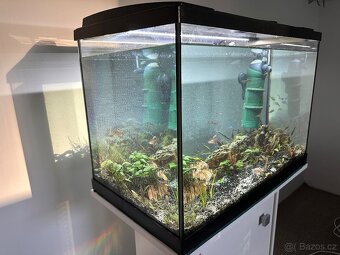 Eheim akvárium 84L + Eheim skříňka - 7