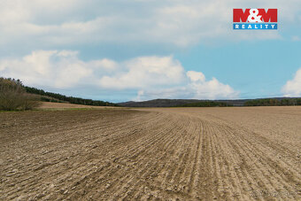 Prodej pole, 5839 m², Předenice - 7