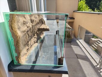 Terárium 60cm s 3D stěnou - 7