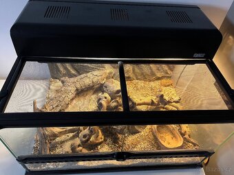 Terarium, terarko vcetne oscetleni - 7