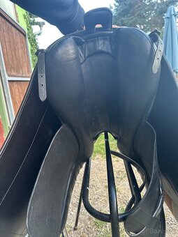 PORTUGALSKÉ SEDLO - 7