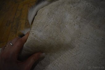 Kožešina daněk 2 - 7