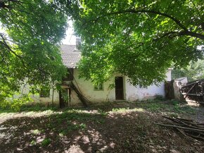 RD ( zemědělská usedlost ) v obci Stupešice, 2.569 m2 - 7