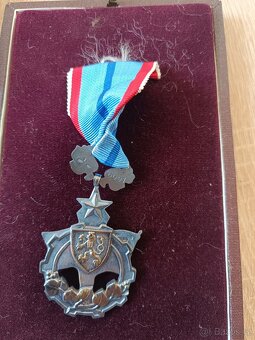 Pamětní medaile - 7