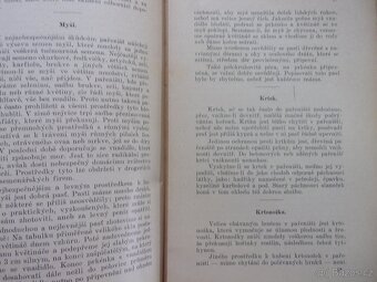 STARÁ KNIHA - PAŘENIŠTĚ A RYCHLENÍ ZELENINY r.1917 - 7