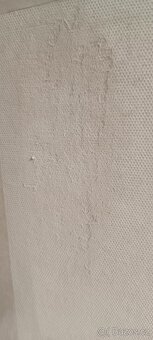 Úřední obraz Adolf Hitler Originál - 7