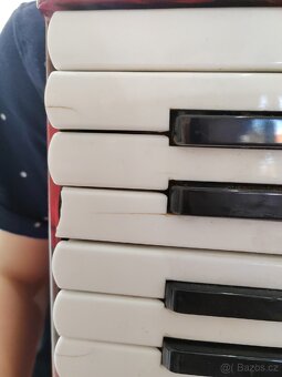 Akordeon Delicia junior - 7