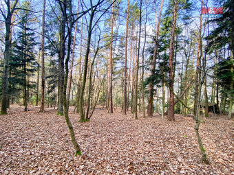 Prodej chaty, 11 m², Krňany, ul. Teletín - 7