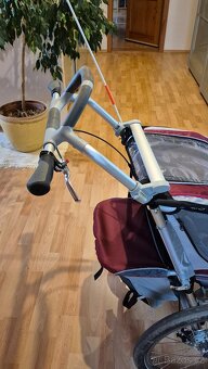 Thule Chariot CX1 - 7