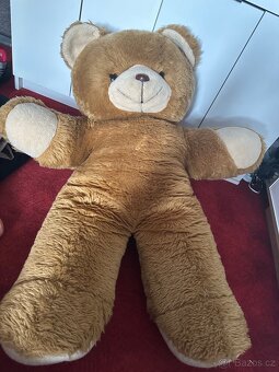 Stary medved cca 100 cm - 7