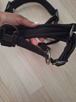 Ohlavky Eskadron - 7
